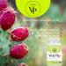 Vital Plus - Organic Energy Supplement for Varicose Veins & Joint Support | 60 Capsules - International Shipping Available - Buy Online on GoSupps.com