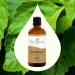 Buy 100% Pure Patchouli Essential Oil | Therapeutic Grade Aromatherapy | Plant Therapy 100 mL - Buy Online on GoSupps.com