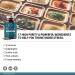 Neurohacker Collective Qualia Resilience Supplement - 40 Capsules for Stress Support - Buy Online on GoSupps.com