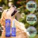 Dental Fresh Water Additive | Healthy & Natural Dog Teeth Spray | Dogs Breath Eliminator for Dogs Cats | Help Whiten Teeth & Improve Oral Health  - Buy Online on GoSupps.com