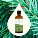 Buy Plant Therapy Balsam Fir Essential Oil 100 mL - 100% Pure Undiluted Therapeutic Grade for International Shipping - Buy Online on GoSupps.com