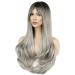 Faelbaty Long Curls Silver-Gray Wig | Ombre Brown to Gray | Natural Look | Ideal for Women & Girls - Party & Cosplay (24 Rh6/171/gray) - Buy Online on GoSupps.com