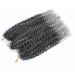 3 Packs Passion Twist Crochet Hair 12 Inch - Kinky Curly Braids & Extensions (T1B/Gray) | International Shipping Available - Buy Online on GoSupps.com