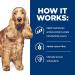 Hill's Prescription Diet z/d Skin/Food Sensitivities Wet Dog Food 13oz (12 Pack) - Buy Online on GoSupps.com