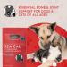 Animal Essentials Seaweed Calcium for Dogs & Cats - 12 oz (340g) - Natural Supplement for Healthy Bones - Buy Online on GoSupps.com