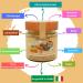 Dalia Nut Spreads - Sugar-Free High Nut Content Vegan & Gluten-Free | 4x200g | Made in Italy (Hazelnut Chocolate Almond-Tonka Almond Coconut) - Buy Online on GoSupps.com