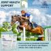 PURICA Vegan Equine Glucosamine - 1kg - Premium Joint Supplement for Enhanced Movement 1 kg (Pack of 1) - Buy Online on GoSupps.com