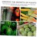Milisten 3 Pcs Pentagram Mold Fruit Vegetable Growth Shaping Supplies Vegetable Growing Moulds Cucumber Rigid - Buy Online on GoSupps.com