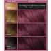 L'Or al Paris Colorista Permanent Gel Hair Dye - Vibrant Violet Shade with Long-Lasting Color and High Shine - Buy Online on GoSupps.com