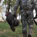 Lucky Duck Turkey Decoys HD Collapsible Jake - High-Quality Hunting Decoy - Buy Online on GoSupps.com