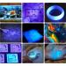DARKBEAM UV Light Torch Ultraviolet Flashlight Rechargeable 365nm Wood's Lamp Black Light Blacklight Portable Mini Handheld LED Pet Urine Ringworm Detector Resin Curing Pocket-Sized - Buy Online on GoSupps.com
