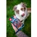 Pets Unlimited Chew Sticks with Beef - Small 8 Pieces (Pack of 2) | Premium Dog Treats for Healthy Chewing - International Shipping Available - Buy Online on GoSupps.com