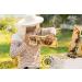 250 g Organic Raw Lavender Honeycomb in Wood Frame Directly from the bee hive (250) 250.00 g (Pack of 1) - Buy Online on GoSupps.com