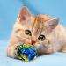 Prasacco 20 Colorful Crinkly Cat Toy Balls Interactive Noise Balls for Kittens | International Shipping - Buy Online on GoSupps.com