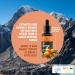 CARAWAY Sea Buckthorn Oil - Whole Berry 1 Fl Oz | Omega-7 Rich Super Critical Extract | Himalayan Sea Buckthorn Berry Oil - Buy Online on GoSupps.com