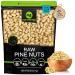 Raw Pine Nuts Pignolias, Unsalted, Shelled, Superior to Organic (80oz - 5 LB) Bulk Nuts Packed Fresh in Resealable Bag - Healthy Protein Food Snack, All Natural, Keto Friendly, Vegan, Kosher - Prime 5 Pound (Pack of 1)