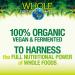 Natural Factors Whole Earth & Sea Organic Fermented Protein & Greens Chocolate Supplement 1lb 9 Oz - Vegan Whole Food, 20 Servings - Pack of 1 - Buy Online on GoSupps.com