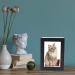 NEW DREAM Pet Cremation Box with Photo Frame | Dog Ashes Urn - Wood Keepsake Memorial Urn for Cats or Dogs (Black) - Buy Online on GoSupps.com