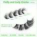 Fluffy 6D Faux Mink Cluster Lashes 16-22mm for Dramatic Cat-Eye Wispy DIY Extensions - A22MM - Buy Online on GoSupps.com