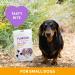 YuMOVE Calming Care One-a-day for Small Dogs | Previously YuCALM One-A-Day | Calming Supplemnent for Dogs who are Stressed or Nervous |30 Chews - 1 Month Supply | Packaging may vary - Buy Online on GoSupps.com