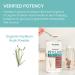 Himalaya Organic Psyllium Husk Powder 24 oz - Daily Fiber & Cholesterol Support - 113 Teaspoons - Buy Online on GoSupps.com