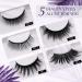 Arishine Magnetic Eyeliner and Lashes Kit - Reusable 5 Pairs, 8 Piece Set - Buy Online on GoSupps.com