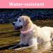 Luminous Waterproof Dog Collar - Adjustable Flashing LED Light for All Sizes - Pink (28-40cm) - Enhanced Night Visibility - Buy Online on GoSupps.com