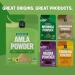 FGO Organic Amla Powder (Amalaki) 100% Raw from India 16oz (Pack of 1) 16 Ounce (Pack of 1) - Buy Online on GoSupps.com