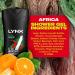 Lynx Africa 12-H Refreshing Fragrance Shower Gel Body Wash for Men 225ml (6) - Buy Online on GoSupps.com