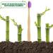 NUDUKO Biodegradable Bamboo Toothbrushes - 10 Pack, BPA Free, Soft Bristles, Eco-Friendly & Compostable - Multicolored Bristles - Buy Online on GoSupps.com