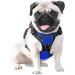 Phoepet Royal Blue XS Dog Harness - No Pull Reflective Adjustable with Front Clip & Handle | 2 Metal Rings & 3 Buckles - Buy Online on GoSupps.com