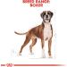 Royal Canin Dog Food Boxer 26 Dry Mix 12kg Poultry 12 g (Pack of 1) - Buy Online on GoSupps.com