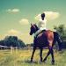 "BE COOL" COOKIES for a "Chilled Out" CALMER COOLER Horse - With Ashwagandha and B Vitamins - Buy Online on GoSupps.com