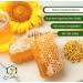 German Rapeseed Honey Sweet Spread - 250g Family Beekei 'Zum Lederer' - Pure Bavarian Nectar No Additives - Buy Online on GoSupps.com