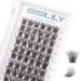 Cluster Lashes SISILILY Individual Lashes 72 Lash Clusters C D Curl Individual Cluster eyelashes DIY Lash Extensions Reusable False Eyelashes 3D Wispy Fluffy Lashes 10-16mm Length (DM17-mix) 72 clusters-DM17