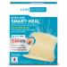 Care Science Hydrocolloid  Large  2.3 in x 3 in  4CT | 100% Waterproof Seal Promotes Up to 2X Faster Healing  Reduces Scarring  Drug-Free Pain Relief 4 Count (Pack of 1)