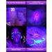 Fulighture UV Torch Pets Black Light 12LED 395nm Dogs/Cats Urine Detector Ultraviolet Flashlight Find Dry Stains on Carpets/Rugs/Floor with Batteries Included 395nm 1 Count (Pack of 1) - Buy Online on GoSupps.com