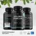 Activated Coconut Charcoal 1000mg | Made from Thai Coconut Shells | for Bloating & Gas Digestion & Flatulence Natural Relief | Vegan & Keto Friendly Supplement | 120 Capsules 1 count (Pack of 120) - Buy Online on GoSupps.com