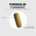 Codeage Forskolin Pure with Turmeric Root - 95% Curcuminoids, Bioperine for Absorption - 20% Standardized Coleus Forskohlii - Non-GMO - 90 Capsules - Buy Online on GoSupps.com
