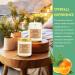 Natural Soy Scented Candle - Vanilla & Orange Aromatherapy | Perfect Gift for Mom & Dad | 45 Hour Burn Time (7oz - Buy Online on GoSupps.com