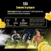  GEN GERMAN ELITE NUTRITION EAA powder 532g (38 servings) - The 9 essential amino acids incl. histidine & BCAA - Human Code formula - Vegan - Very good solubility - Refreshing amino acid drink (Candy Lemon) - Buy Online on GoSupps.com