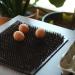 Rural365 Washable Chicken Nesting Box Liners - 6 Pack Reusable Nesting Pad for Egg Laying Mats - Buy Online on GoSupps.com