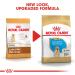 Royal Canin Labrador Retriever Junior 12.0 kg - Buy Online on GoSupps.com