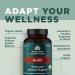 Organic Reishi Mushroom Tablets - Immune Support, Gluten-Free, Vegan-Friendly - 30 Count - Buy Online on GoSupps.com