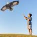 JEKOSEN 70 Bald Eagle Huge Kite | Easy-to-Fly Single Line String for Kids and Adults | Perfect for Beach Trips, Parks, and Outdoor Family Games - Buy Online on GoSupps.com
