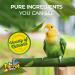 G18 NutriBird Verselle Laga Healthy Parrot Pellets African Grey Conure Cockatiel Cockatoo Macaw Super Food - Buy Online on GoSupps.com