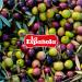 LA ESPA OLA - Extra Virgin Olive Oil Made from 100% Spanish Olives. 5 l Bottle - Buy Online on GoSupps.com