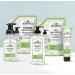 J.R. Watkins Foaming Hand Soap Pump 6 Pack - All Natural, Moisturizing Aloe & Green Tea Hand Soap Foam - Alcohol-Free, Cruelty-Free, USA Made - Ideal for Kitchen or Bathroom - 9 fl oz - Buy Online on GoSupps.com