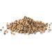 Certified Organic Coriander Seeds 250g - Rich in Fiber and Protein, Ideal for Cooking - Buy Online on GoSupps.com
