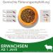 IAMS Dry Cat Food with Lamb | For Cats Aged 1-6 Years | 1.5kg Pack | International Shipping - Buy Online on GoSupps.com
